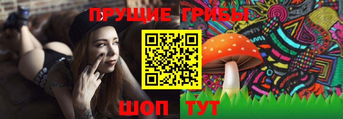 Ессентуки  Псилоцибиновые грибы GOLDEN TEACHER  Вход с VPN 
